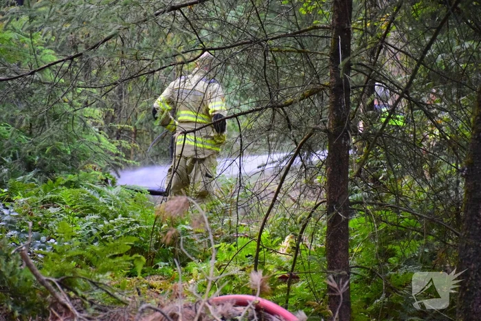 100 vierkante meter natuur verwoest vanwege brand