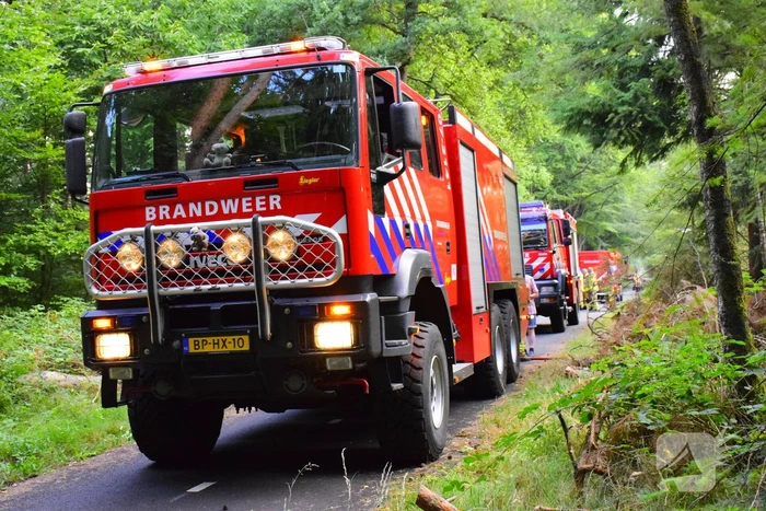 100 vierkante meter natuur verwoest vanwege brand