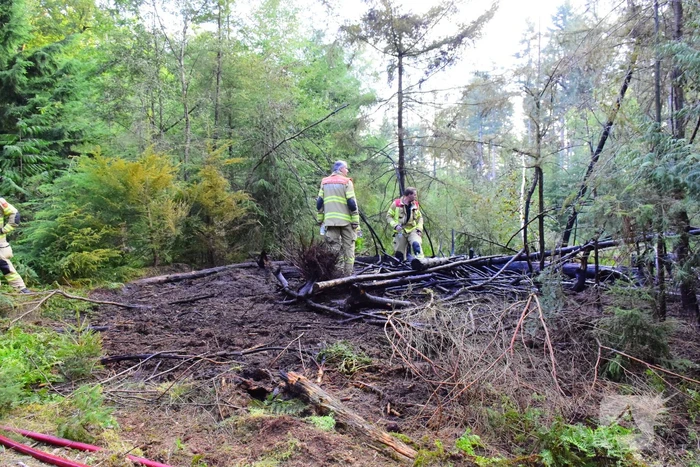 100 vierkante meter natuur verwoest vanwege brand