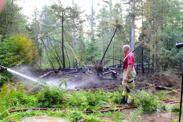 100 vierkante meter natuur verwoest vanwege brand