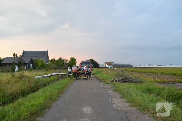 natuur julianaweg zevenhuizen