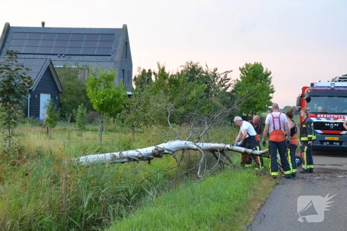 Brandweer ingezet bij omgevallen boom