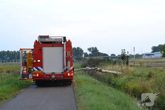 Brandweer ingezet bij omgevallen boom