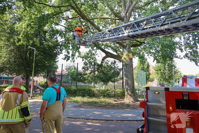 natuur willem barentszstraat bussum