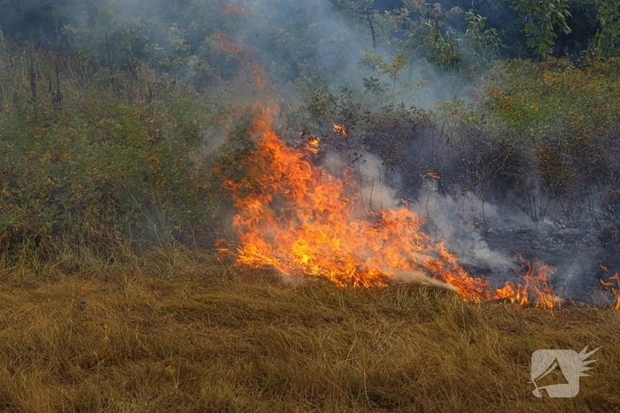 Flink stuk natuur vanwege brand verwoest
