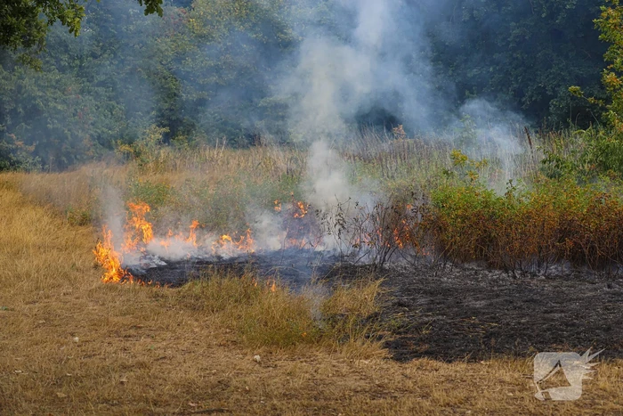 Flink stuk natuur vanwege brand verwoest