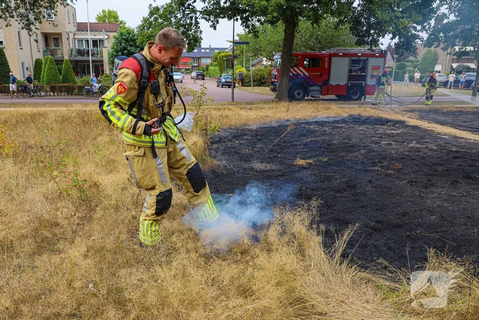 Flink stuk natuur vanwege brand verwoest