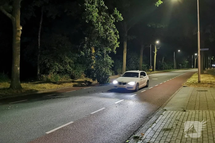 Brandweer verwijdert gevaarlijk hangende tak