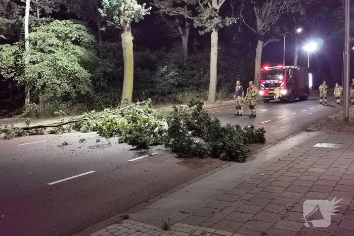 Brandweer verwijdert gevaarlijk hangende tak