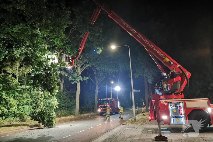 Brandweer verwijdert gevaarlijk hangende tak