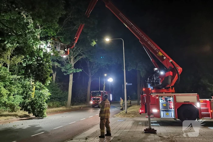 Brandweer verwijdert gevaarlijk hangende tak