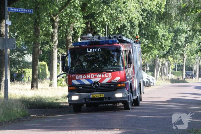 Forse takken uit boom gewaaid