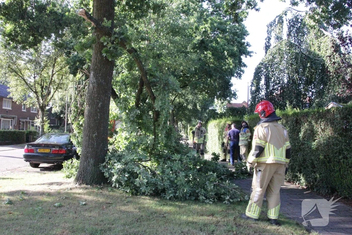 Forse takken uit boom gewaaid