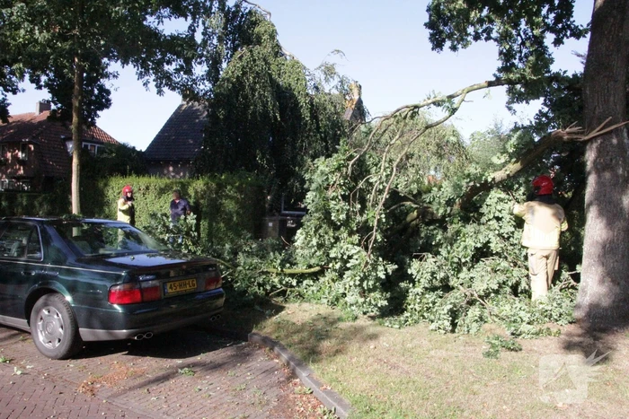 Forse takken uit boom gewaaid