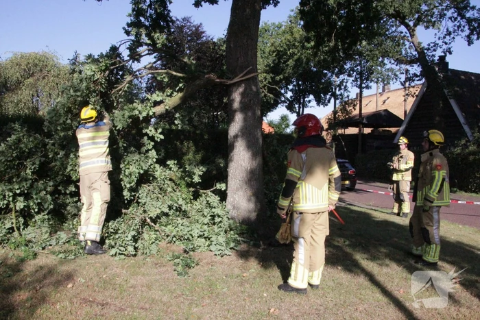 Forse takken uit boom gewaaid