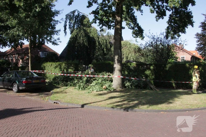 Forse takken uit boom gewaaid