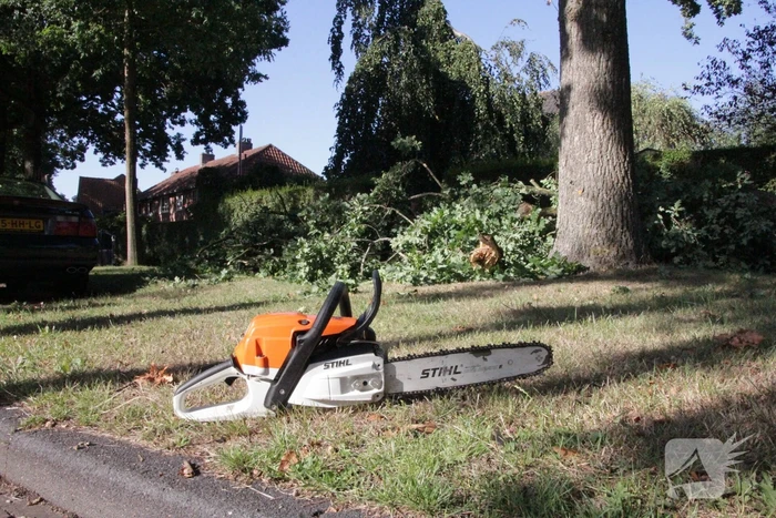 Forse takken uit boom gewaaid