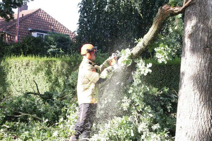 Forse takken uit boom gewaaid