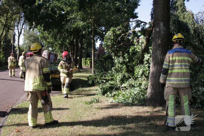 Forse takken uit boom gewaaid