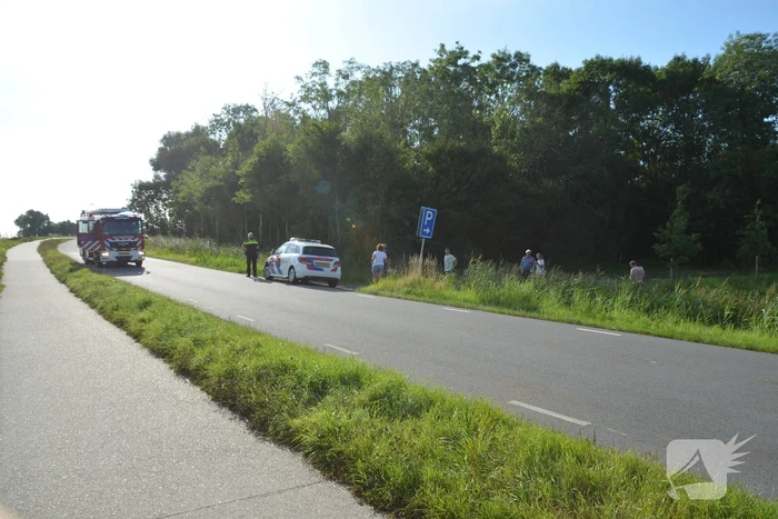 Auto belandt in rieten berm