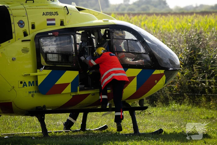 Mevrouw in gezicht getrapt door paard