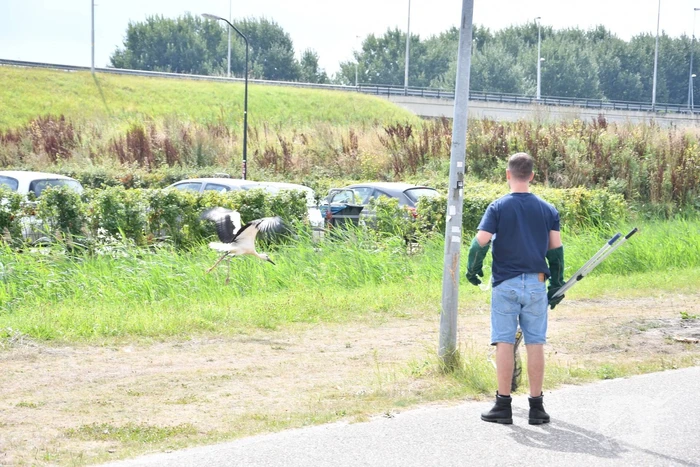 nieuws larserplein lelystad