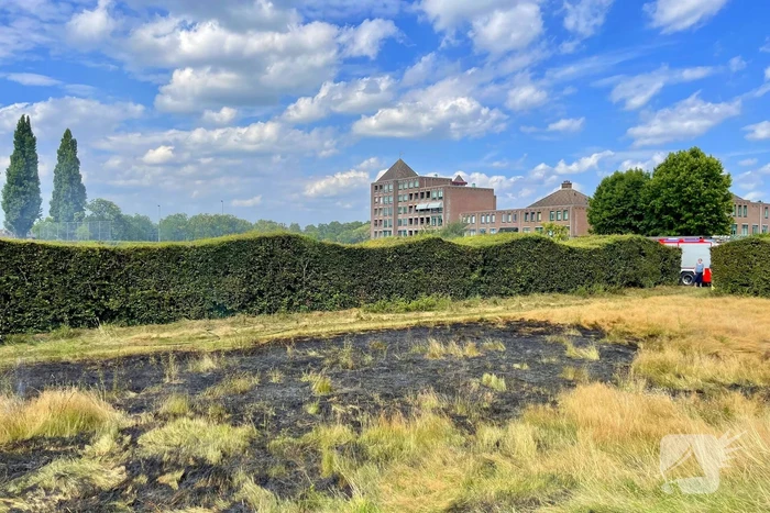 Flinke buitenbrand in Schothorsterpark