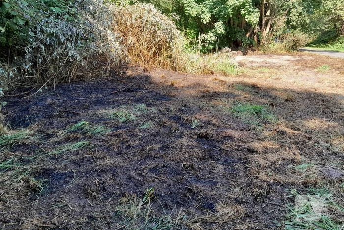 Brandweer blust brandende struiken