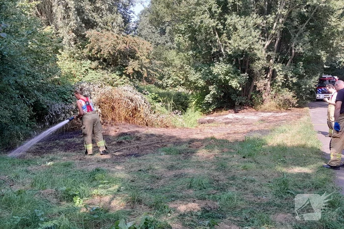 Brandweer blust brandende struiken