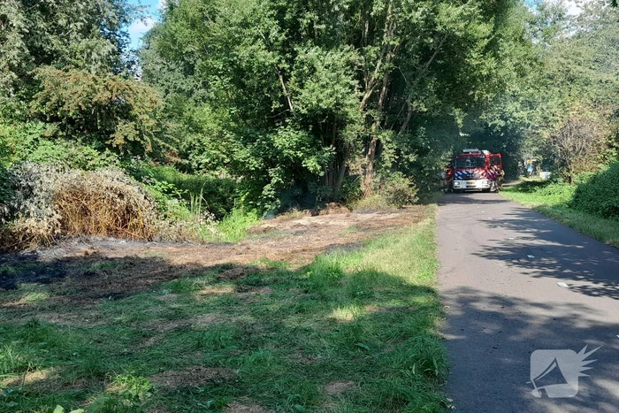 Brandweer blust brandende struiken