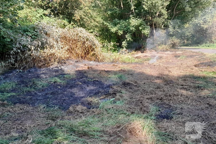 Brandweer blust brandende struiken