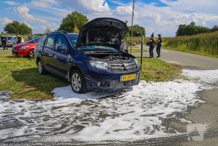 Gestolen auto vliegt in brand