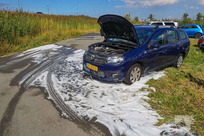 Gestolen auto vliegt in brand
