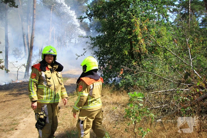 Flinke brand in bosgebied