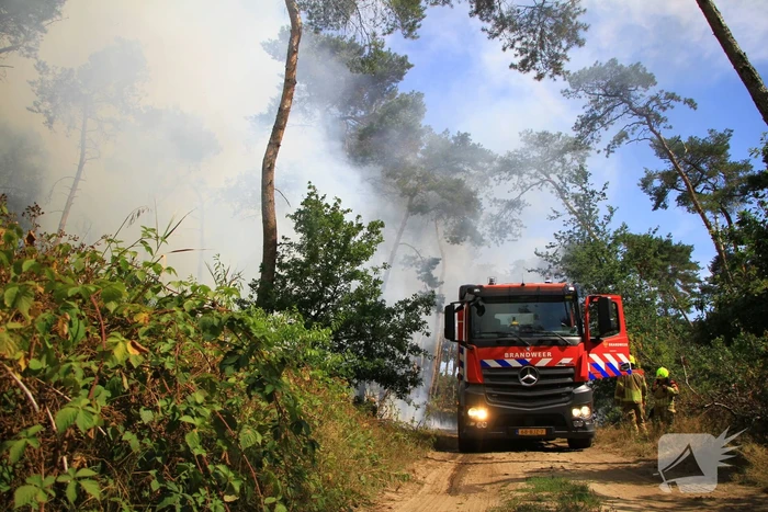 Flinke brand in bosgebied