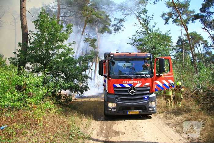Flinke brand in bosgebied