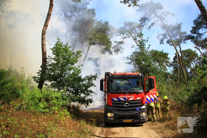 Flinke brand in bosgebied