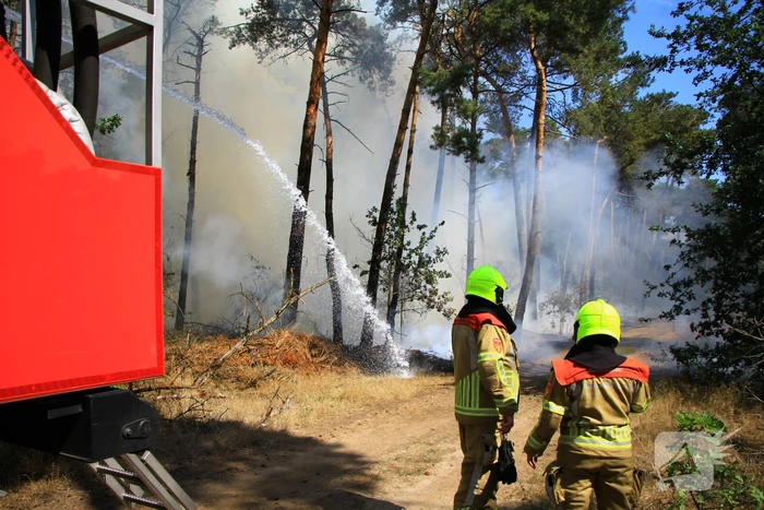 Flinke brand in bosgebied
