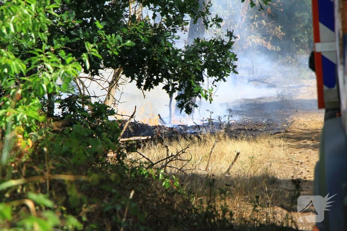 Flinke brand in bosgebied
