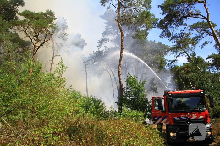 Flinke brand in bosgebied