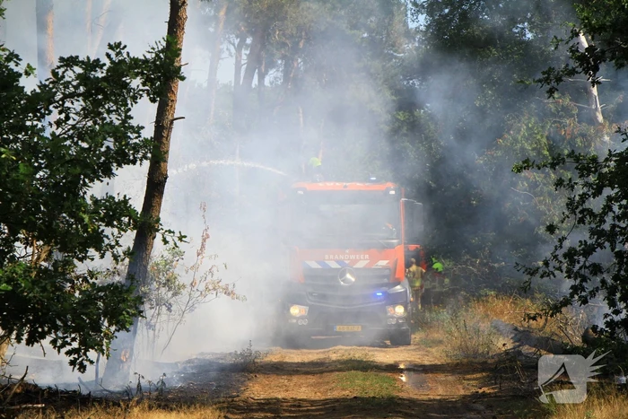 Flinke brand in bosgebied