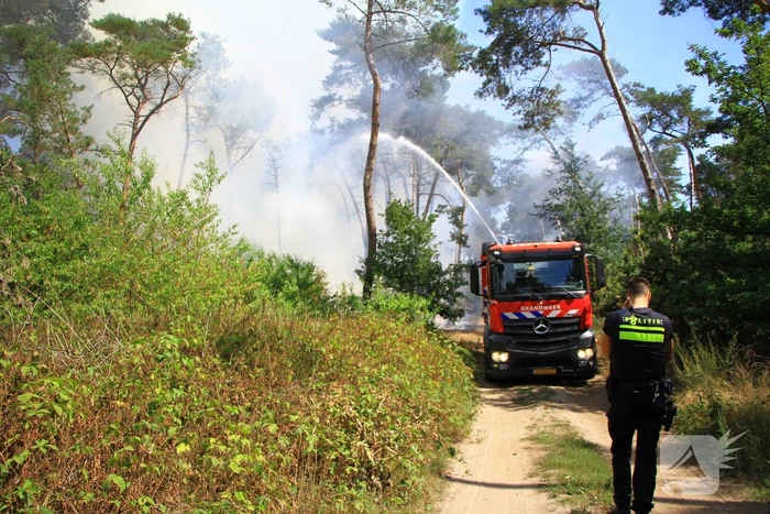 Flinke brand in bosgebied