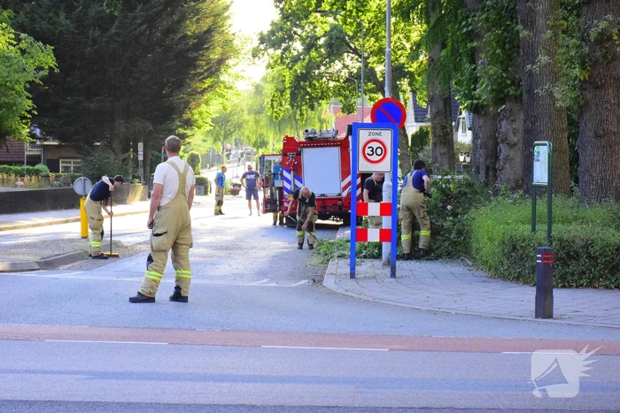 Grote tak breekt af en valt op weg