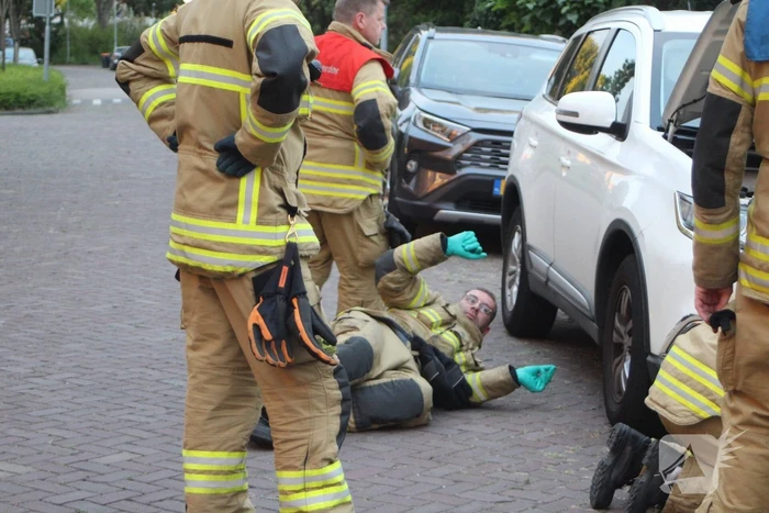 Kat vast in motorcompartiment van auto