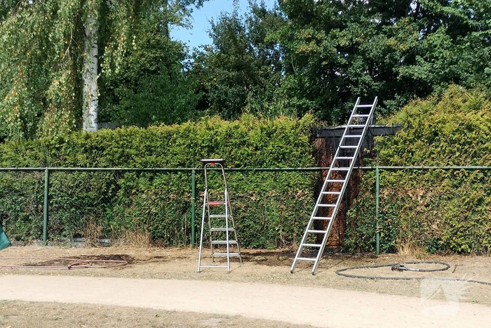 Brandende conifeer snel geblust