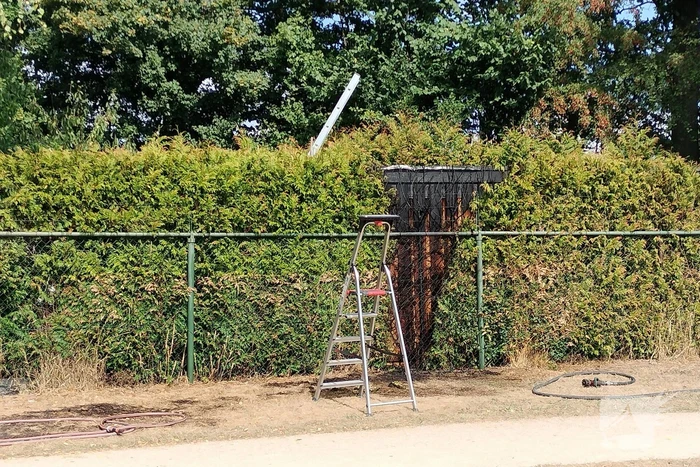 Brandende conifeer snel geblust