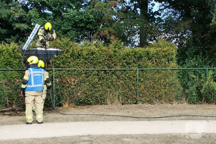 Brandende conifeer snel geblust