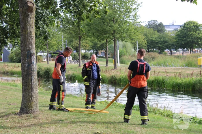 nieuws europapark alphen aan den rijn