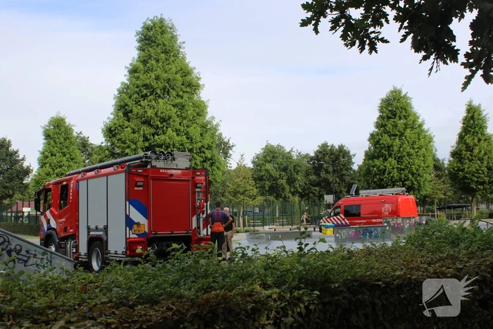 Gewonde zwaan laat zich lastig vangen