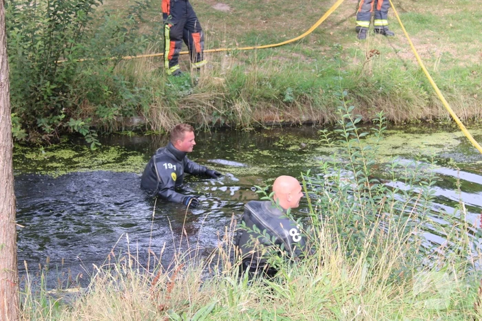 Gewonde zwaan laat zich lastig vangen